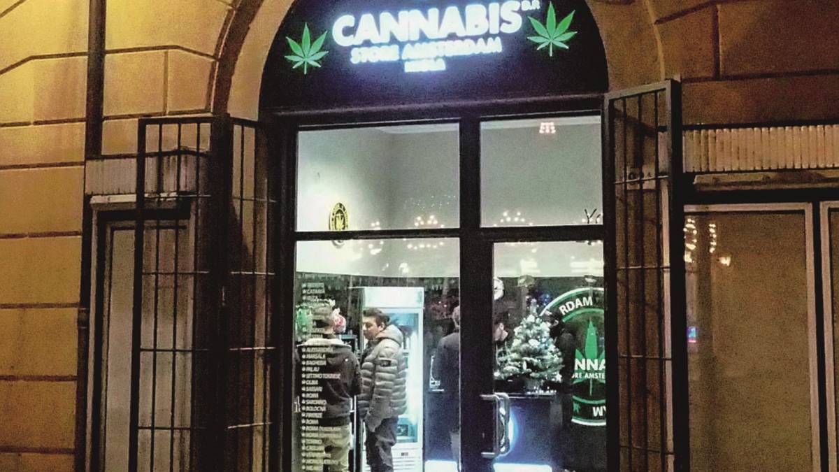Cannabis Store: il nuovo brand fa anche il panettone