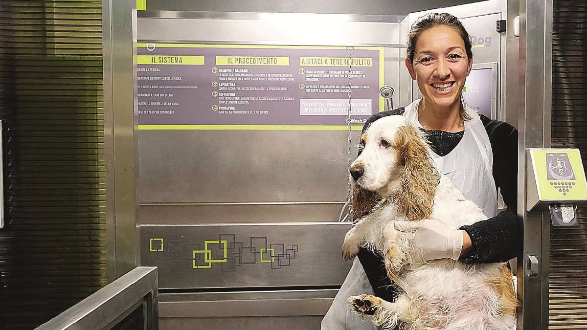 Lavaggio self-service per cani: «Una spa aperta notte e giorno»