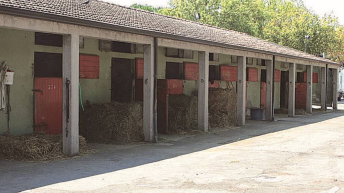 Furto alle scuderie dell'Ippodromo