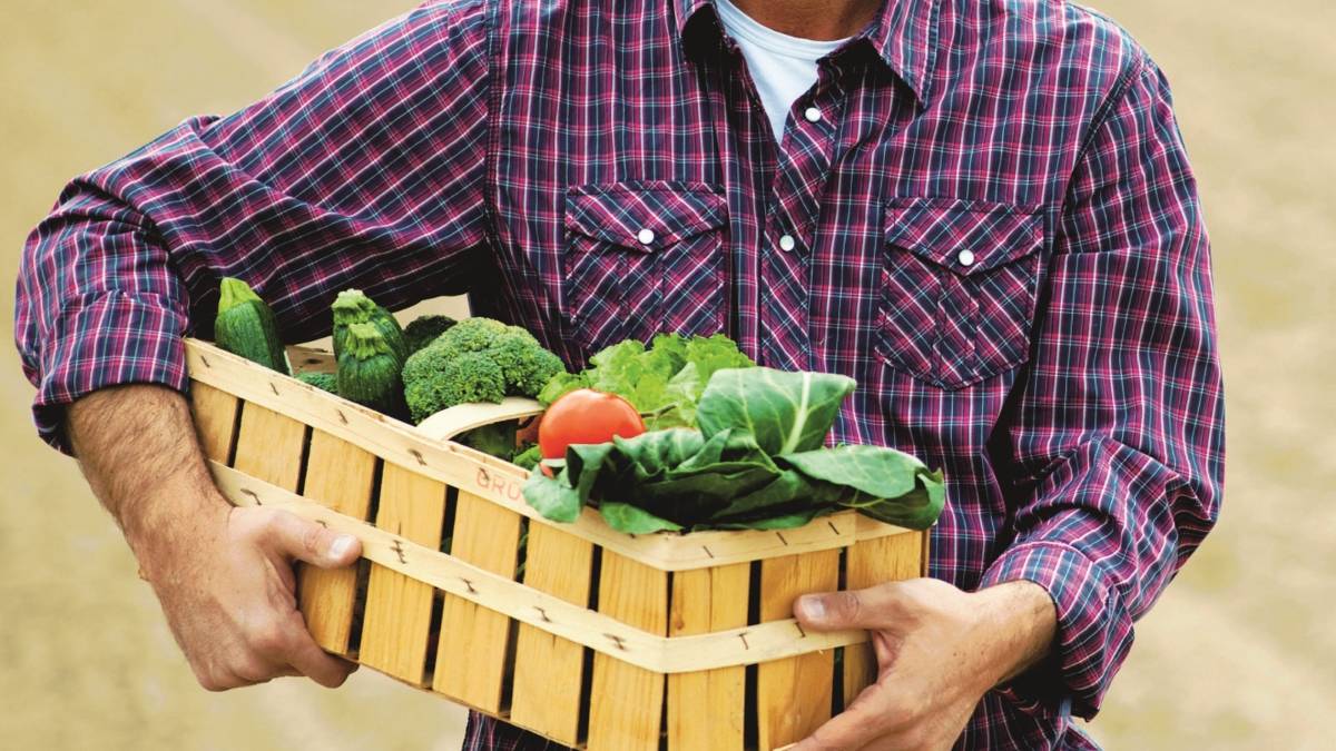 Ortofrutta, ora la spesa si fa dal contadino