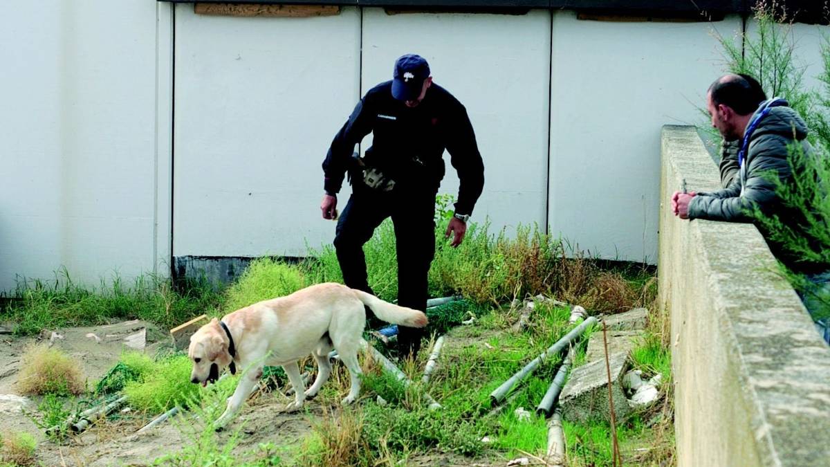Caccia al killer, i carabinieri a Casalborsetti con i cani
