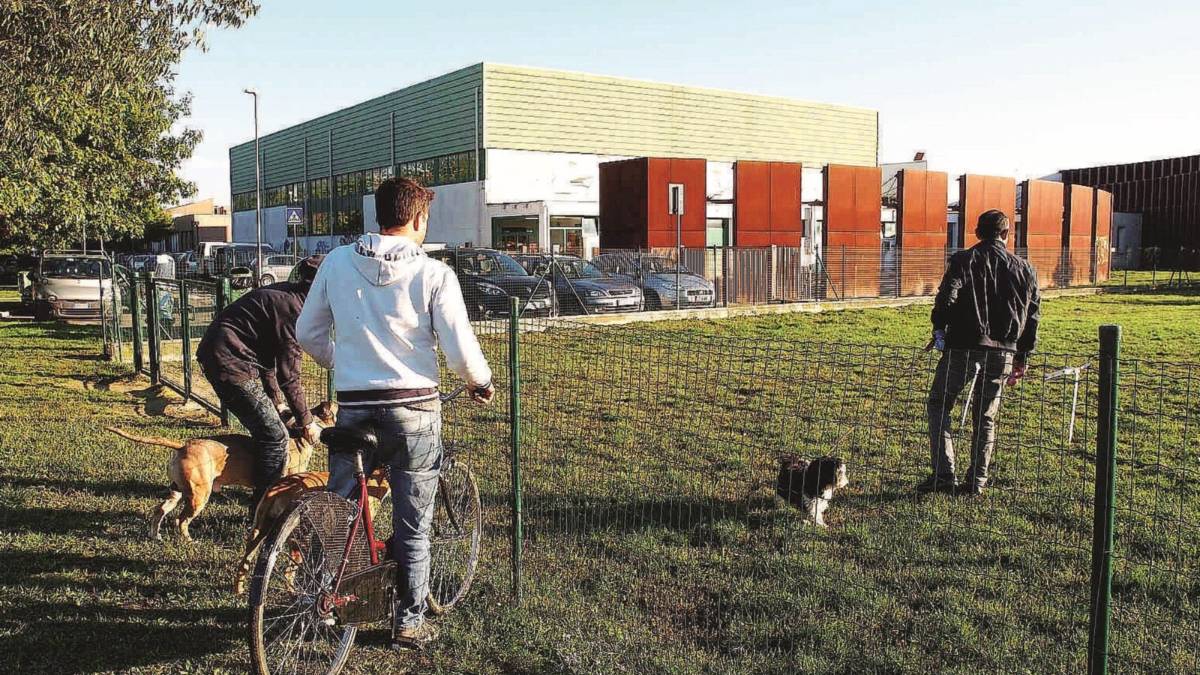 Una petizione contro la vendita dell'area verde di via Kolbe
