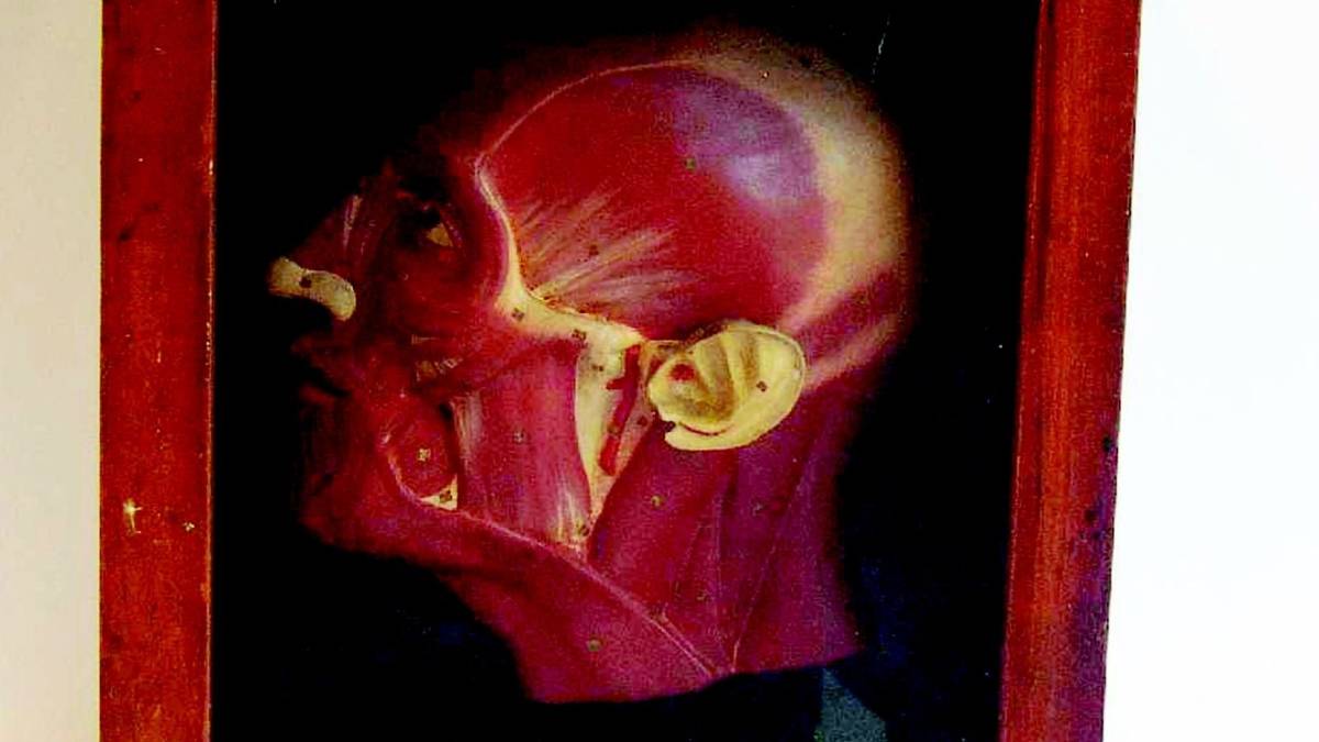 Dagli scantinati dell'Ausl spunta l'antico tesoro