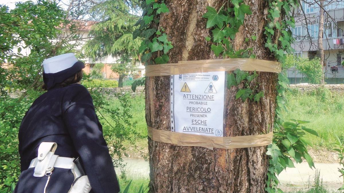 Cartelli di pericolo per i bocconi avvelenati