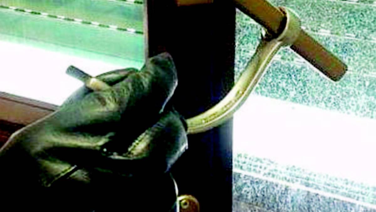 Narcotizzati e derubati mentre dormono