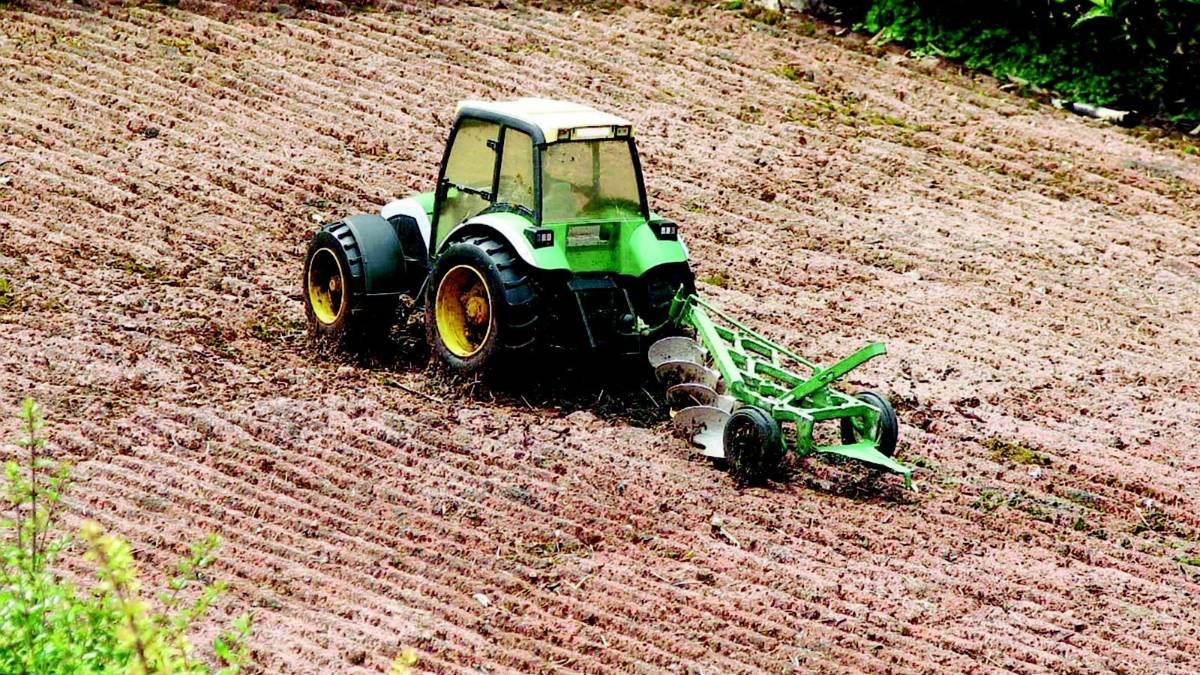 Lotti agricoli da destinare agli Under 35