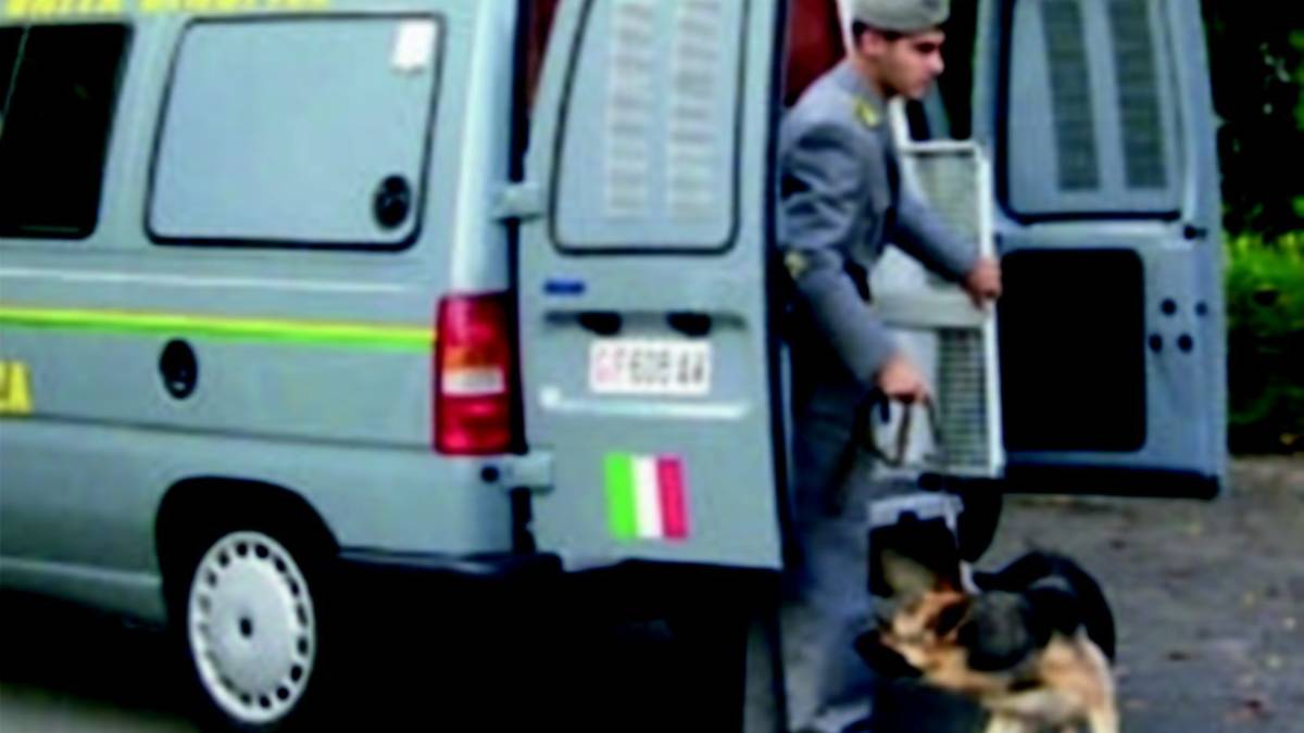 Droga nel camion ma non è sua, assolto dopo due anni di galera