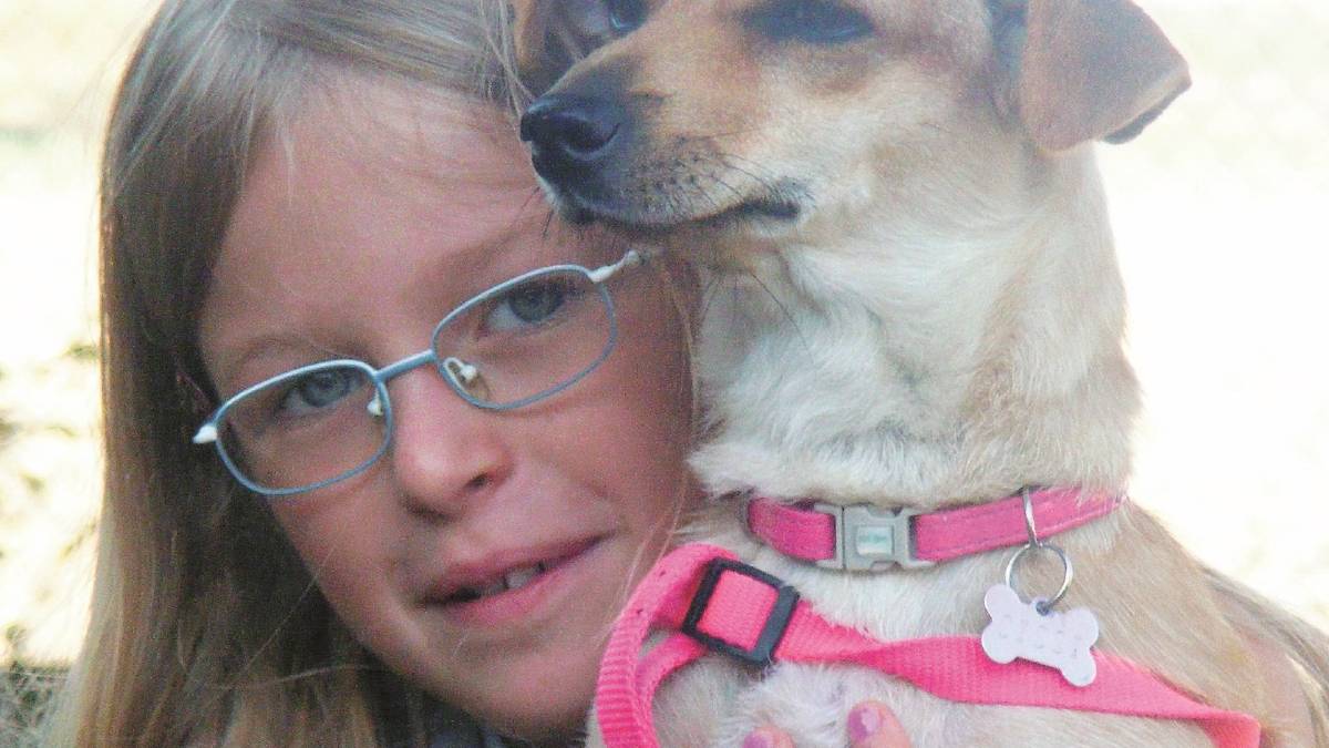 Cane ucciso a fucilate, nessun colpevole