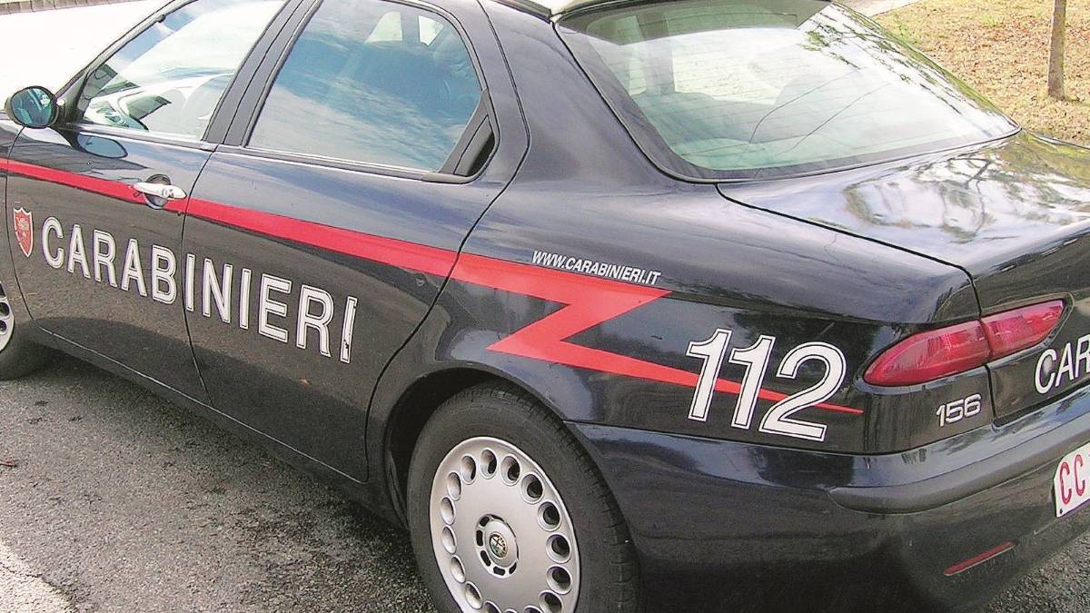 Muore in casa, il cane lo mangia