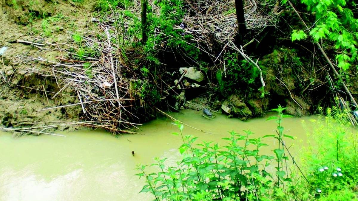 Due serate sul rischio idrogeologico
