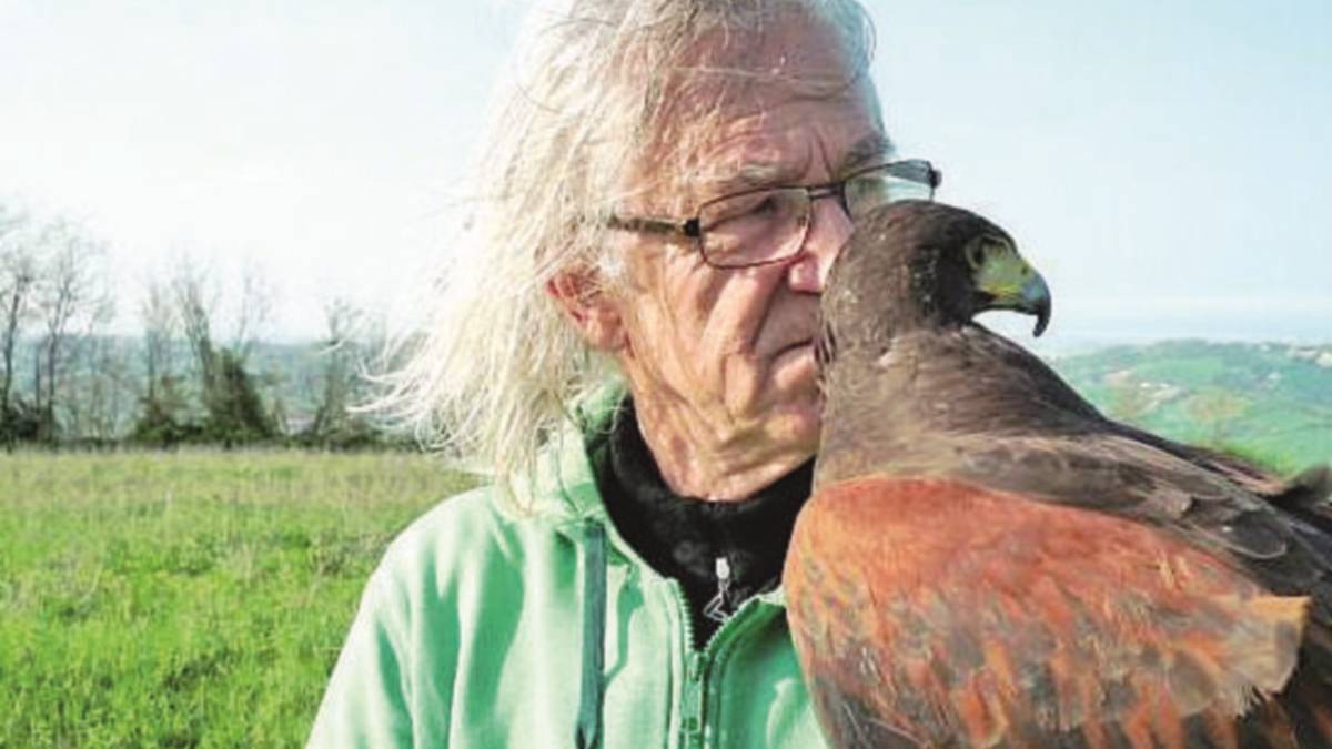 Il pensionato che vola coi falchi