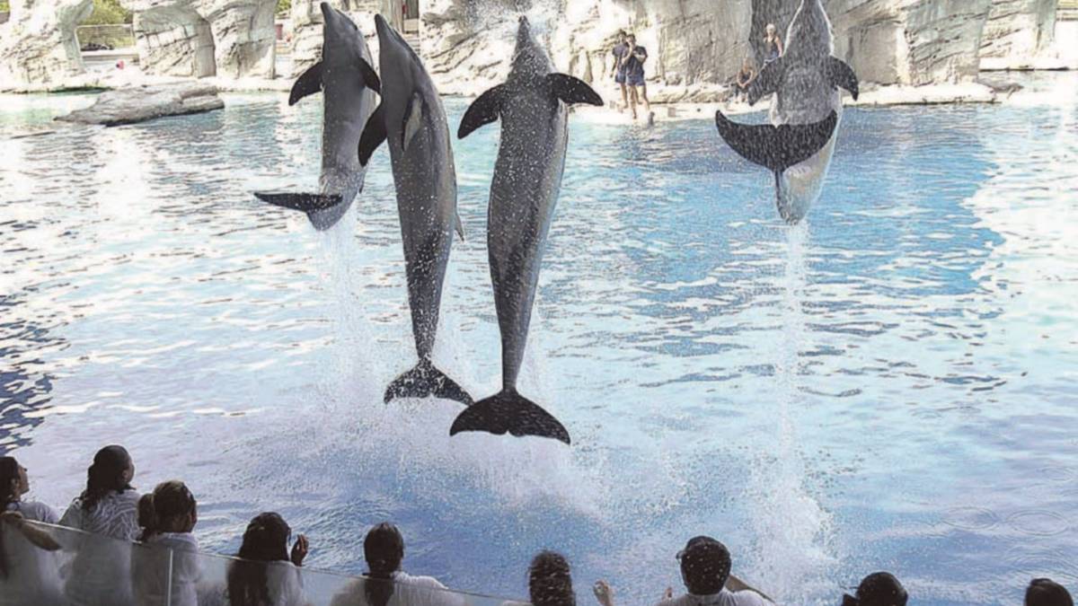 In vacanza in Romagna? Sì, ma se c'è il parco a tema