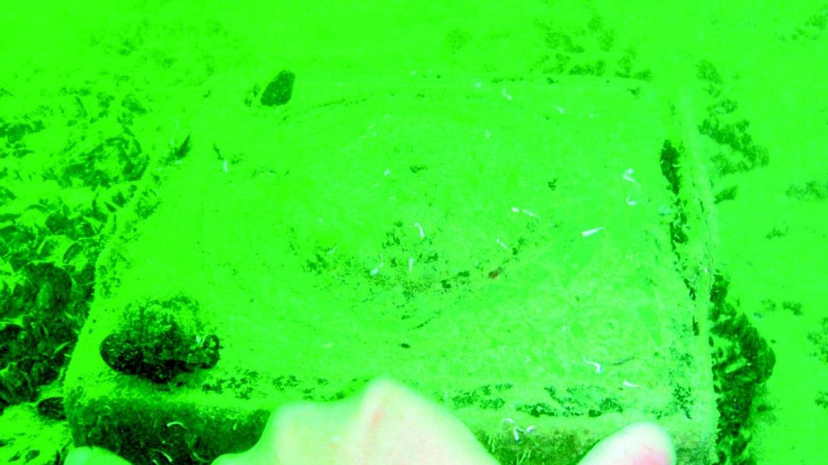 Spostato l'ordigno bellico sommerso e fatto brillare al largo