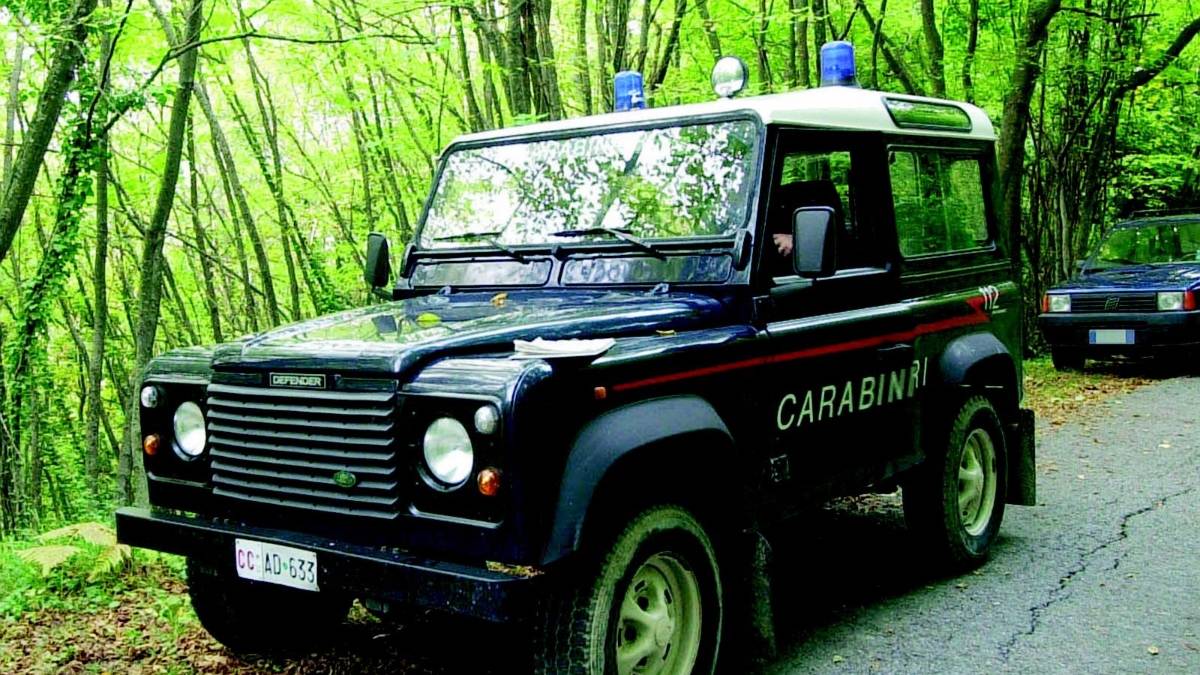Taglia le gomme al tartufaio