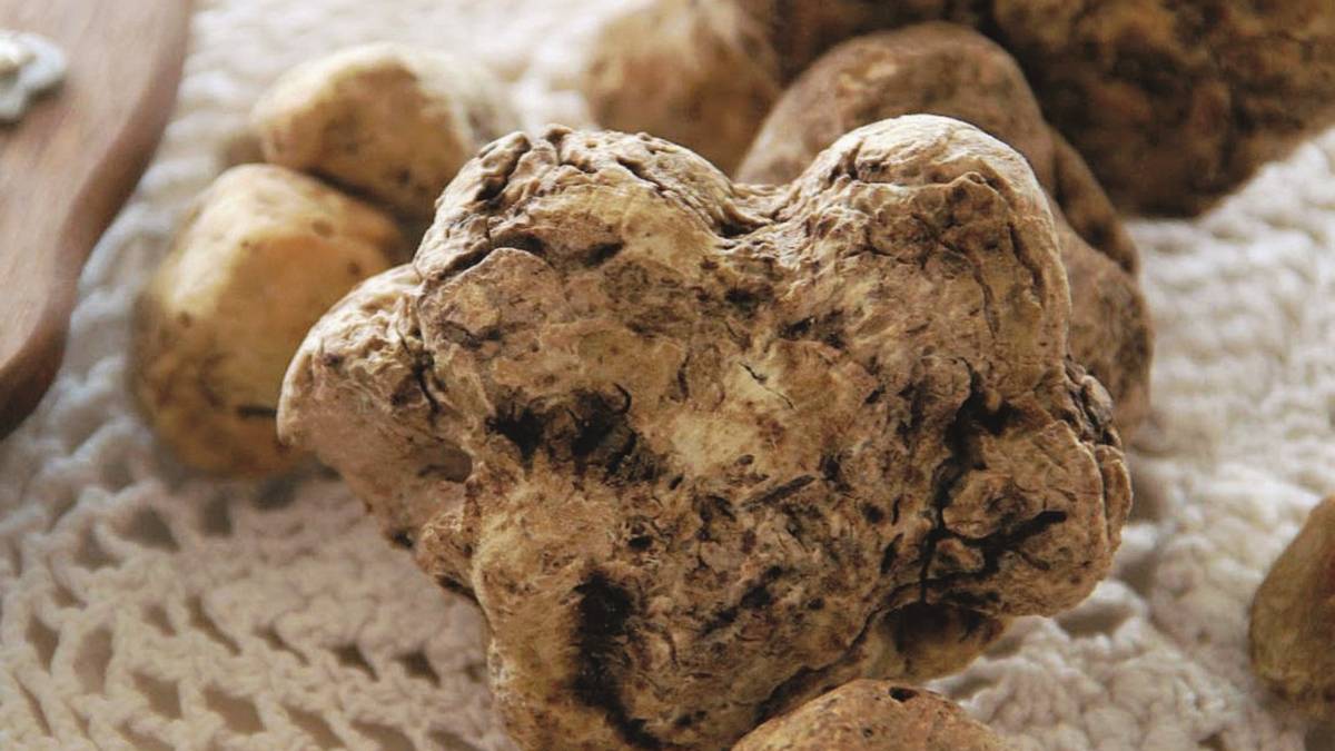 Salumi e tartufo: che bontà