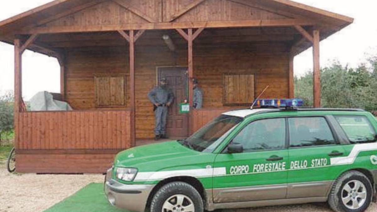 Villini abusivi sequestrati dalla Forestale