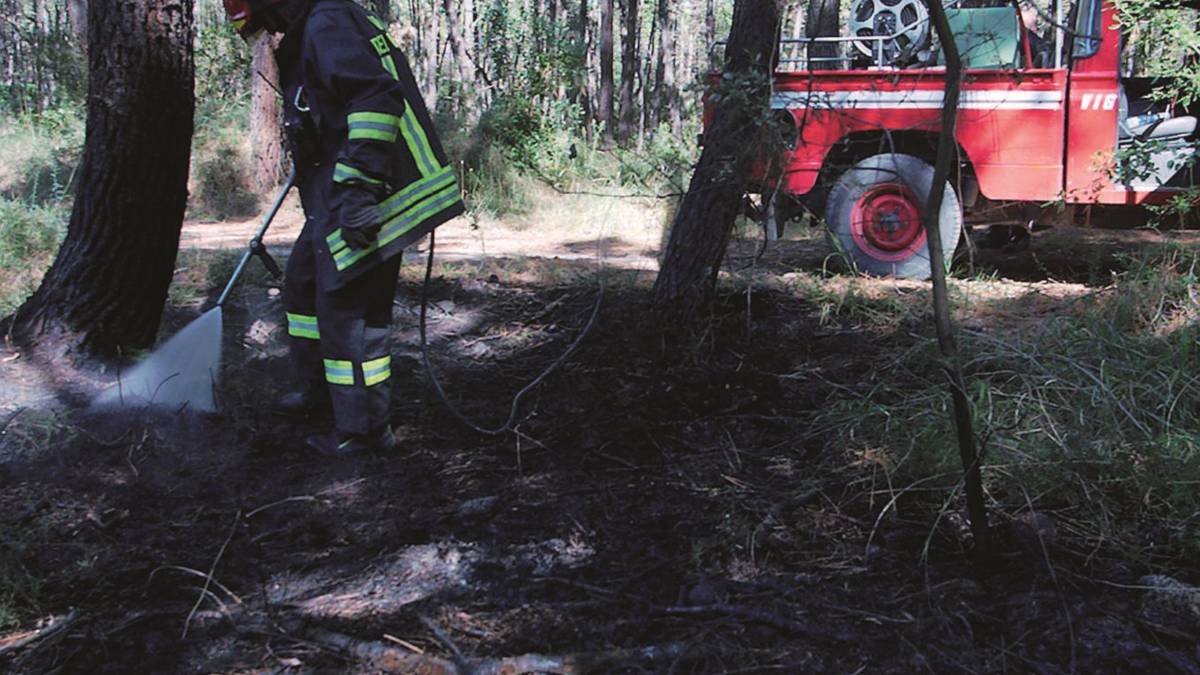Appicca sette roghi e scappa