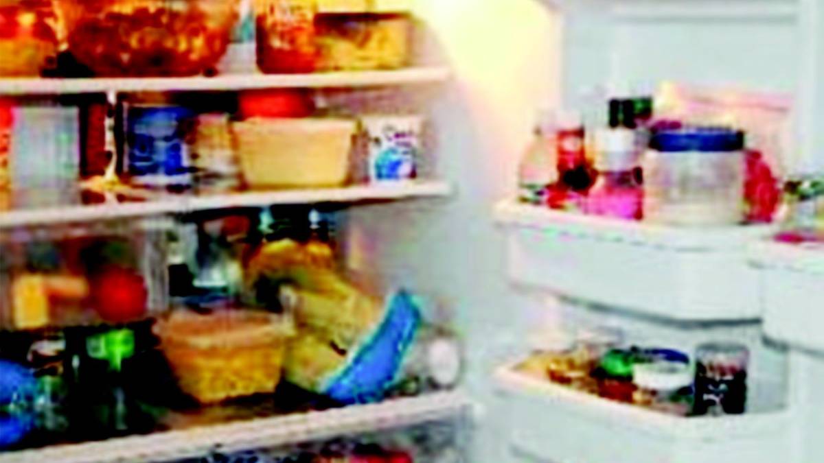 «Mettete oro e soldi nel frigorifero»