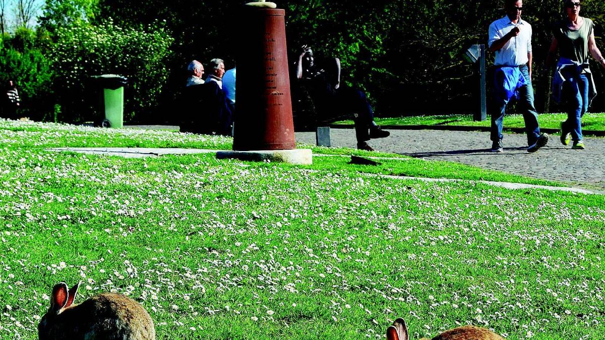Donna presa a schiaffi e pugni al Parco urbano