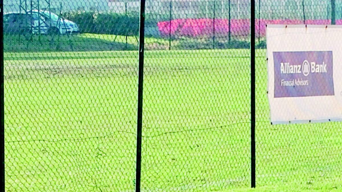 Troppi conigli, saranno catturati e trasferiti