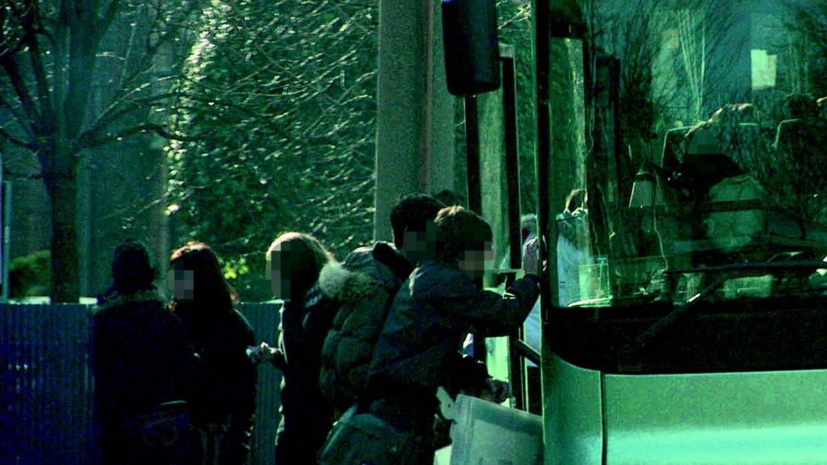 Bullismo sul bus, denunciati otto giovani
