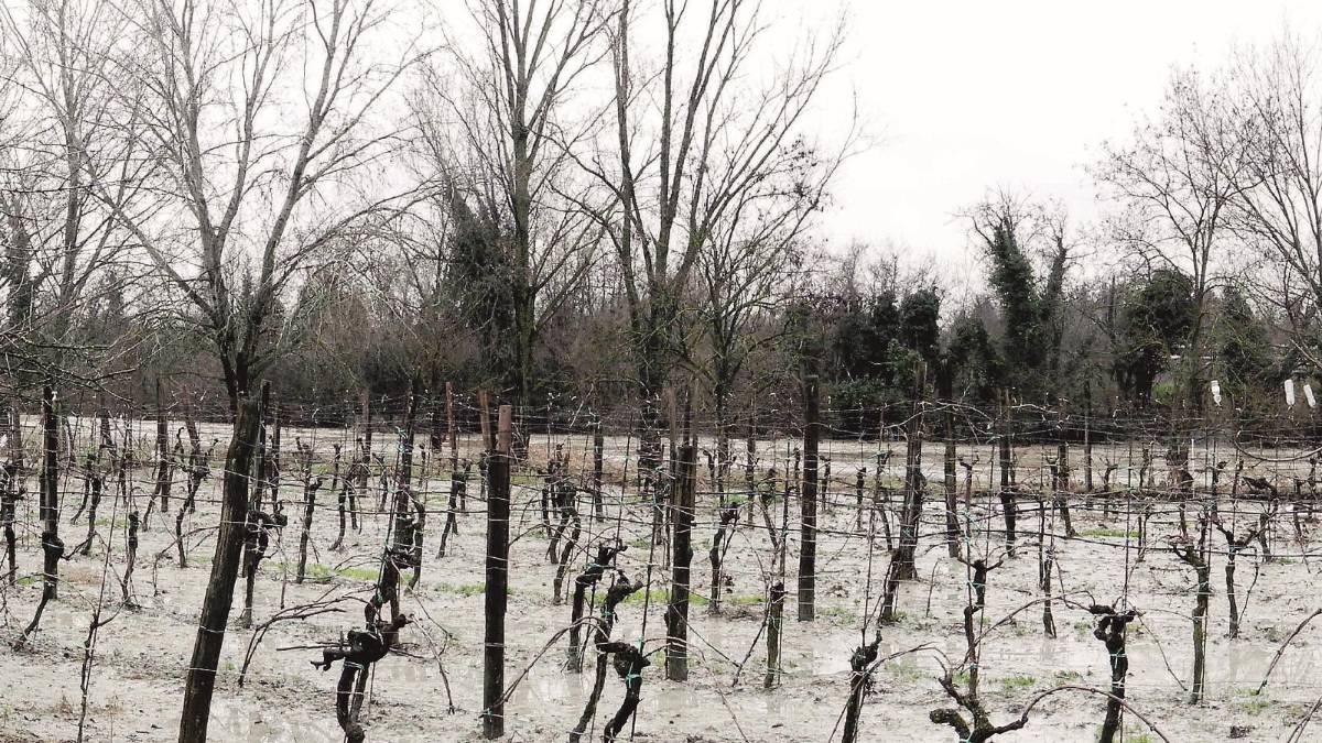Argini rotti e campi allagati