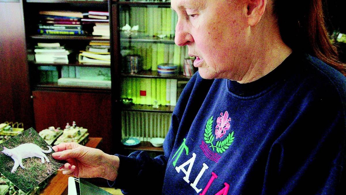 «La mia gattina sbranata dai cani da caccia»