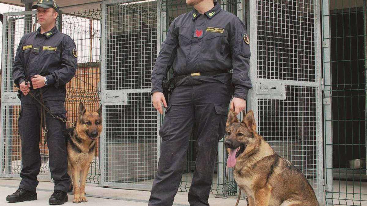 Allarme spaccio nelle scuole