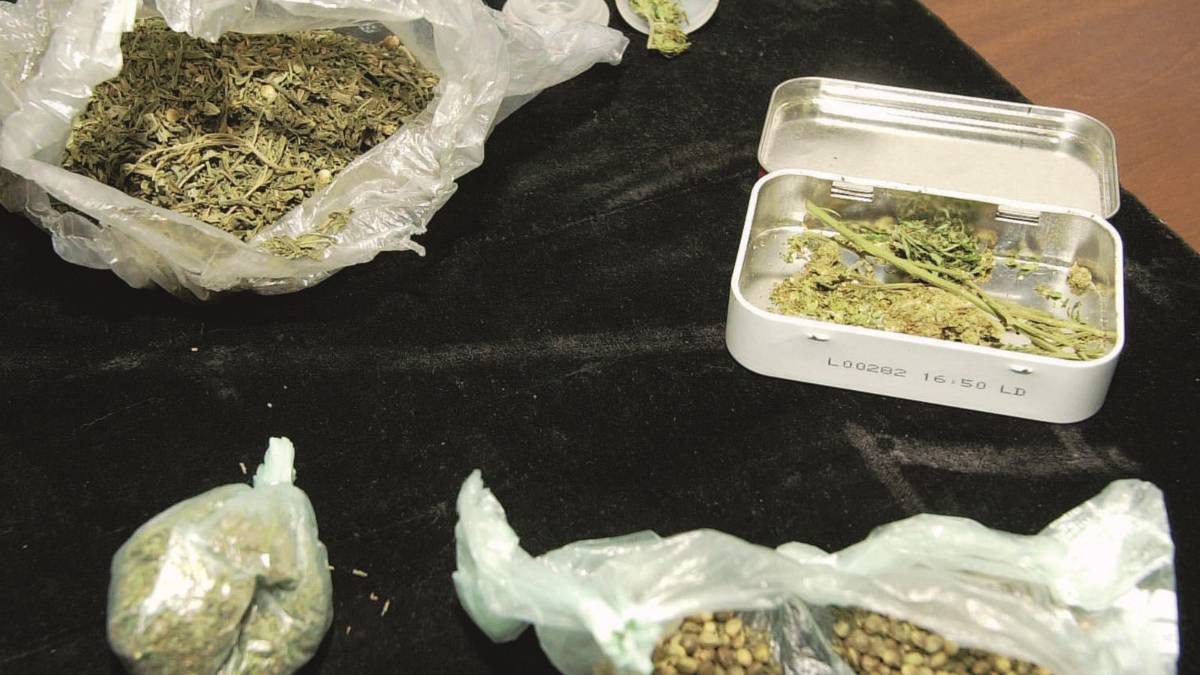 Rimini, tre arresti per spaccio di marijuana