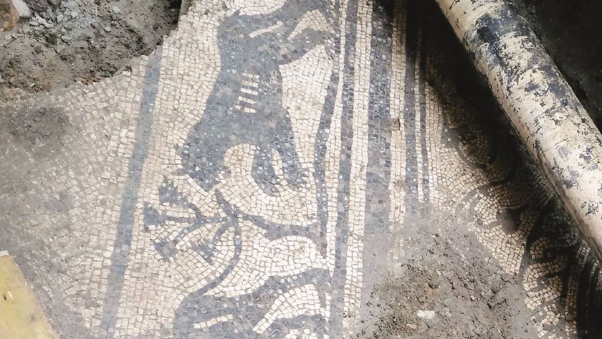 Mosaico della pantera: il futuro è deciso