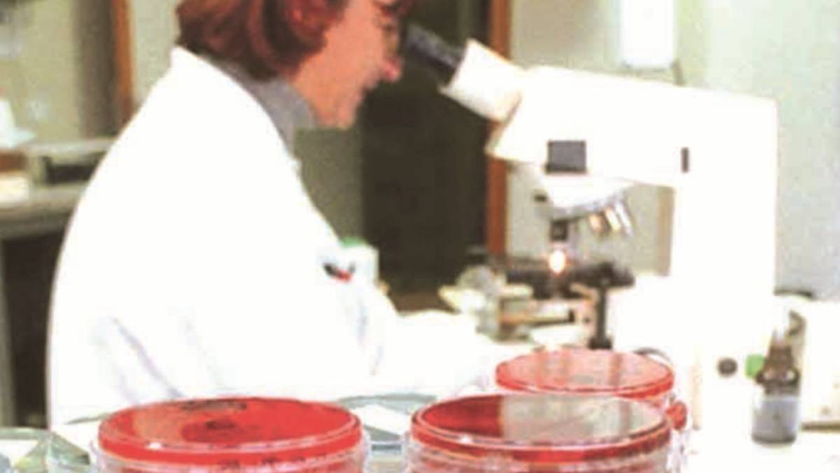 Sospetto caso di Mucca pazza, autopsia su una donna di 68 anni. La figlia: «Un anno per avere la diagnosi, è stato un calvario»