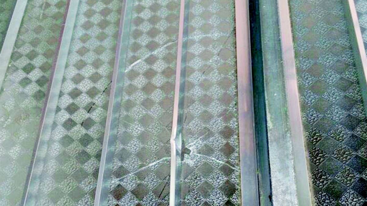 Spari contro il commercialista: spunta la pista delle auto di lusso