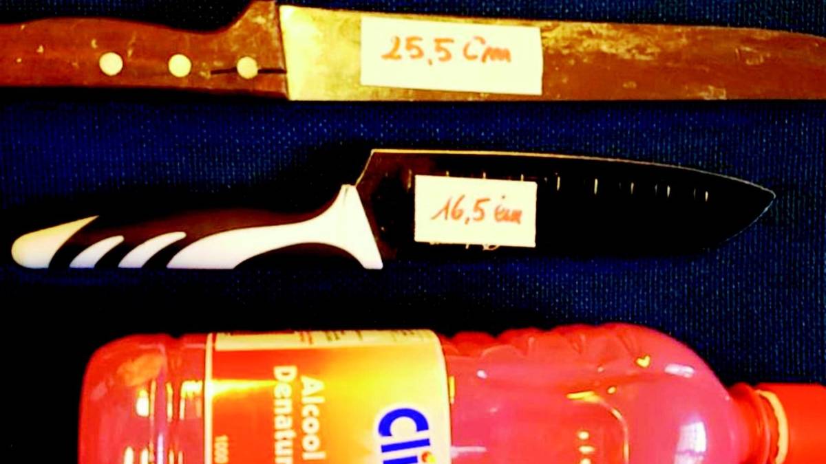 Minaccia l'ex moglie e cosparge di alcol i suoi cani per dargli fuoco