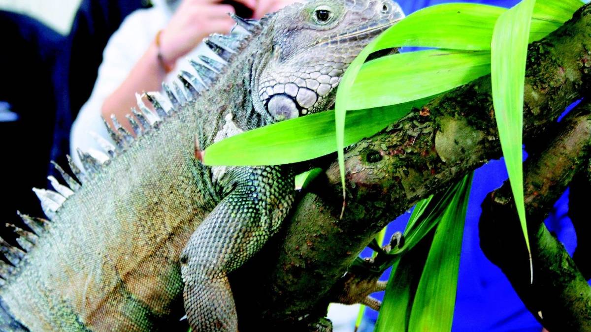 Animali in fiera, conoscenza e rispetto