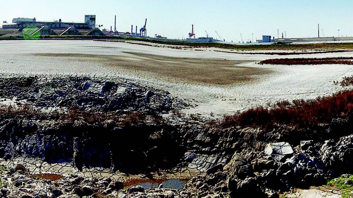 «Discariche di rifiuti speciali al porto»