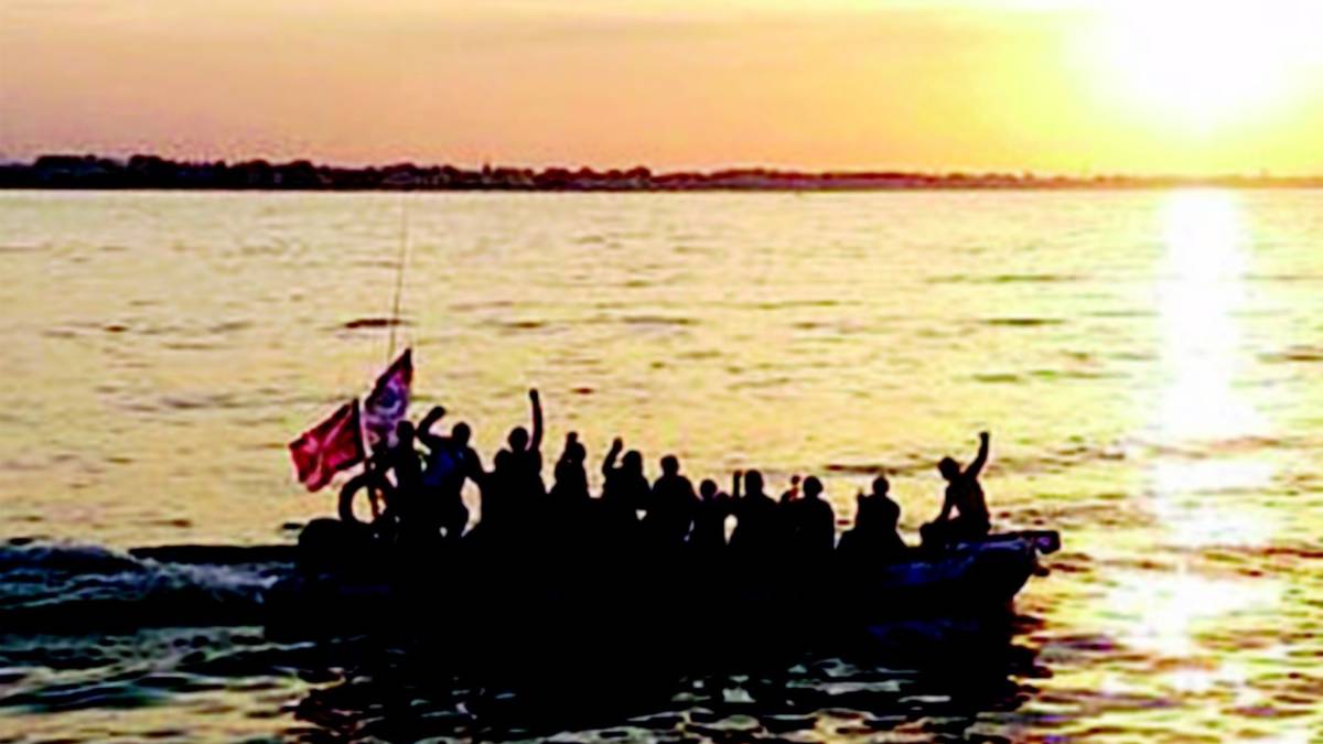 Perché immergersi di notte? I vantaggi del sub con la torcia