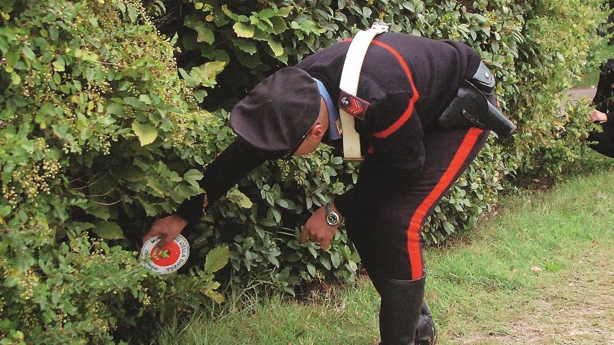 Nascondono droga nel parco dei bimbi