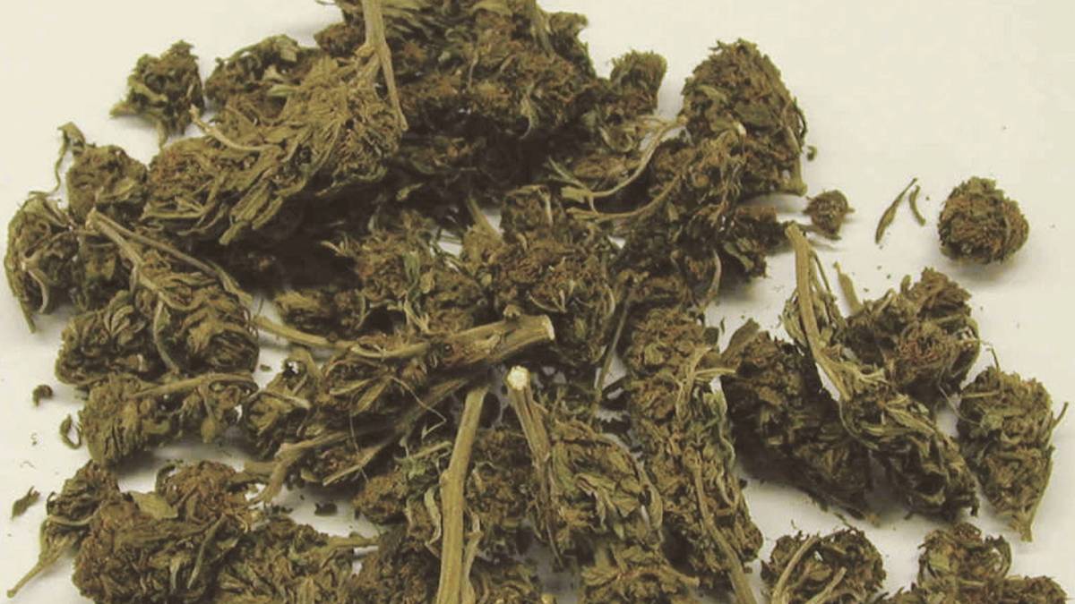 Droga a scuola, arrestato studente riminese: aveva un chilo di marijuana
