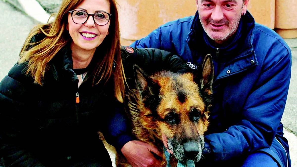 Scatta la solidarietà, gli pagano l'hotel