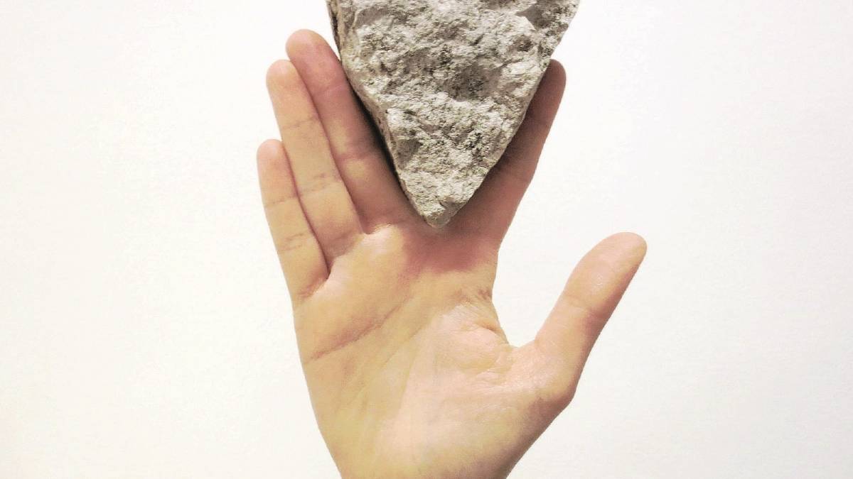Alla ricerca della preda