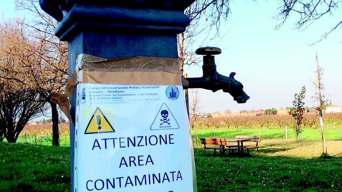 Il giardino dei veleni