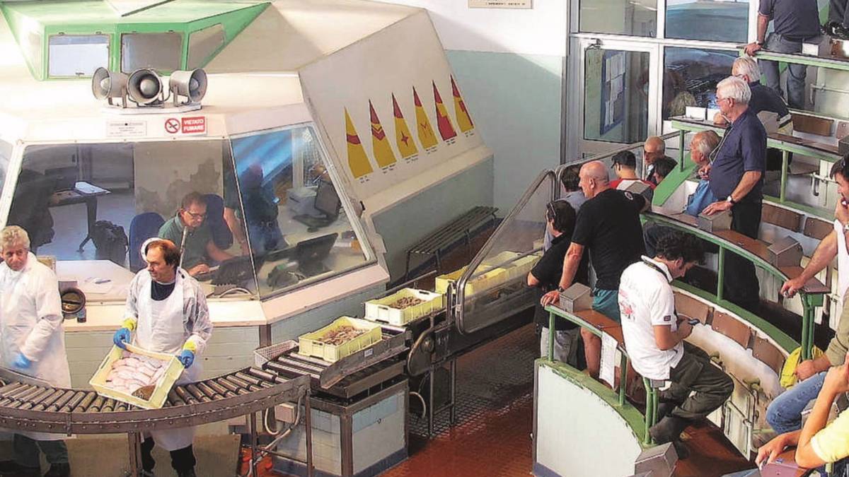 Mercato ittico all'ingrosso leggera risalita per le contrattazioni