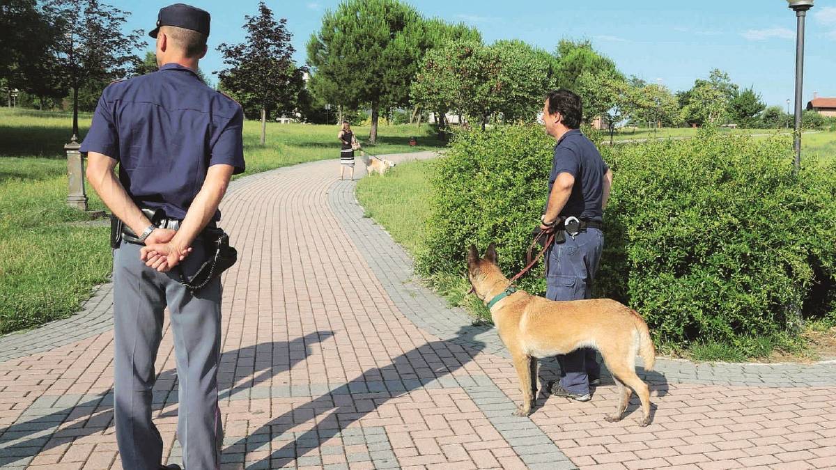 Cani poliziotto in azione nei parchi