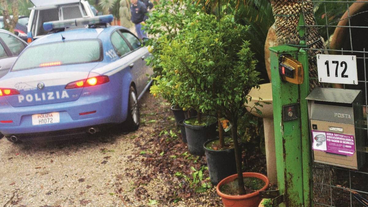 Dalle piante all'erba, stop al mercato della droga