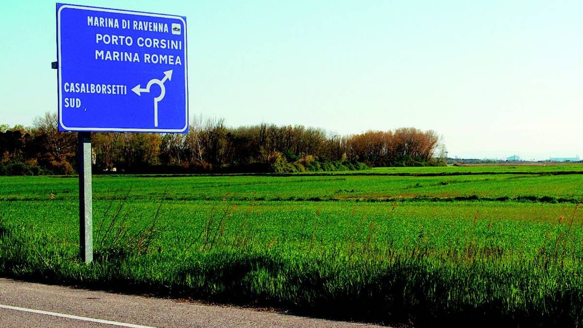 Campo da golf, case e bungalow a due passi dalla pineta