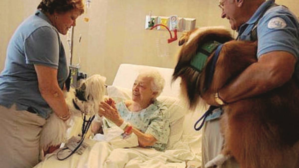 Cade il divieto, all'ospedale cani e gatti in visita ai malati