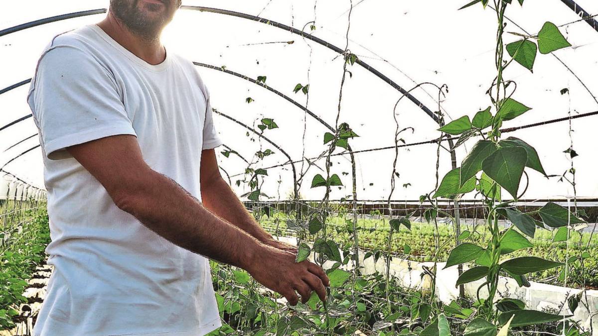 È boom di aziende biologiche: «Più salute e ambiente sano»