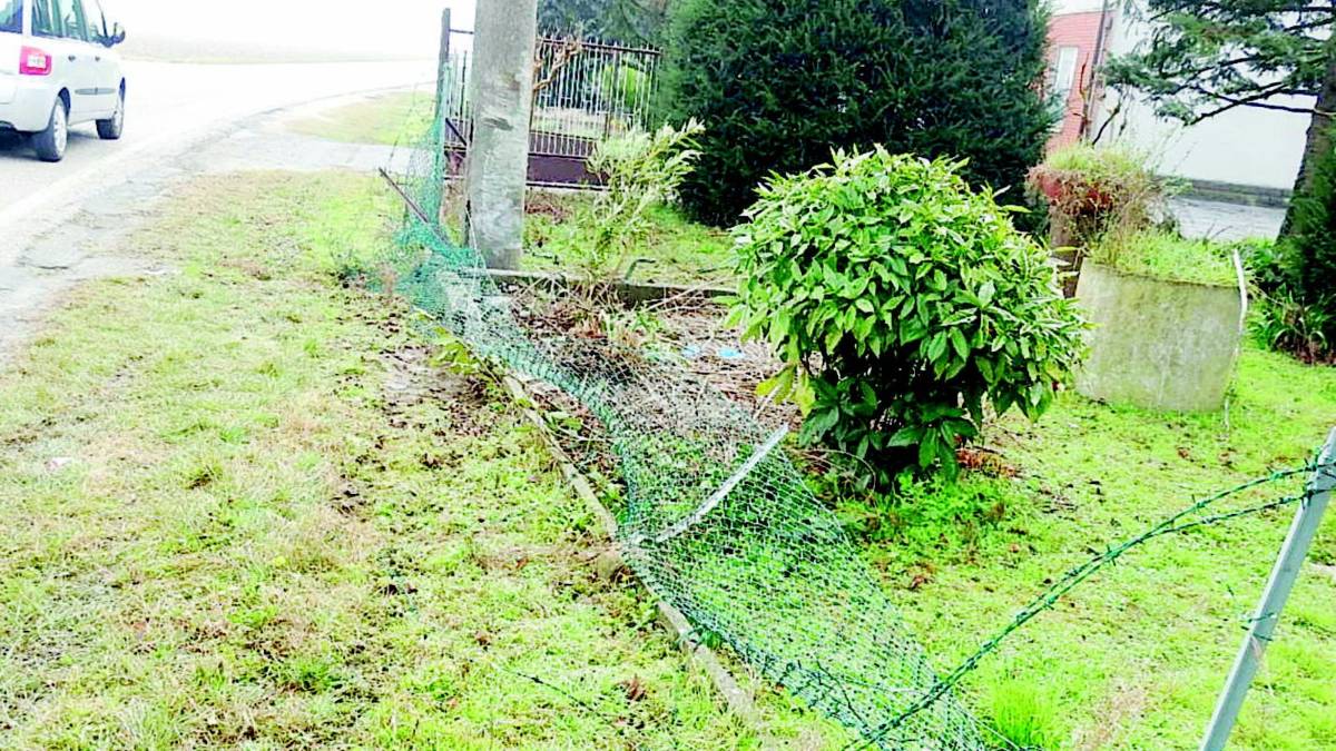Va fuori strada per salvare un cane Sbandata fatale per un 47enne