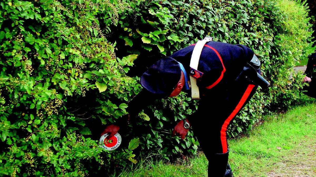 Terrore al parco, rottweiler morde bimbo di 3 anni