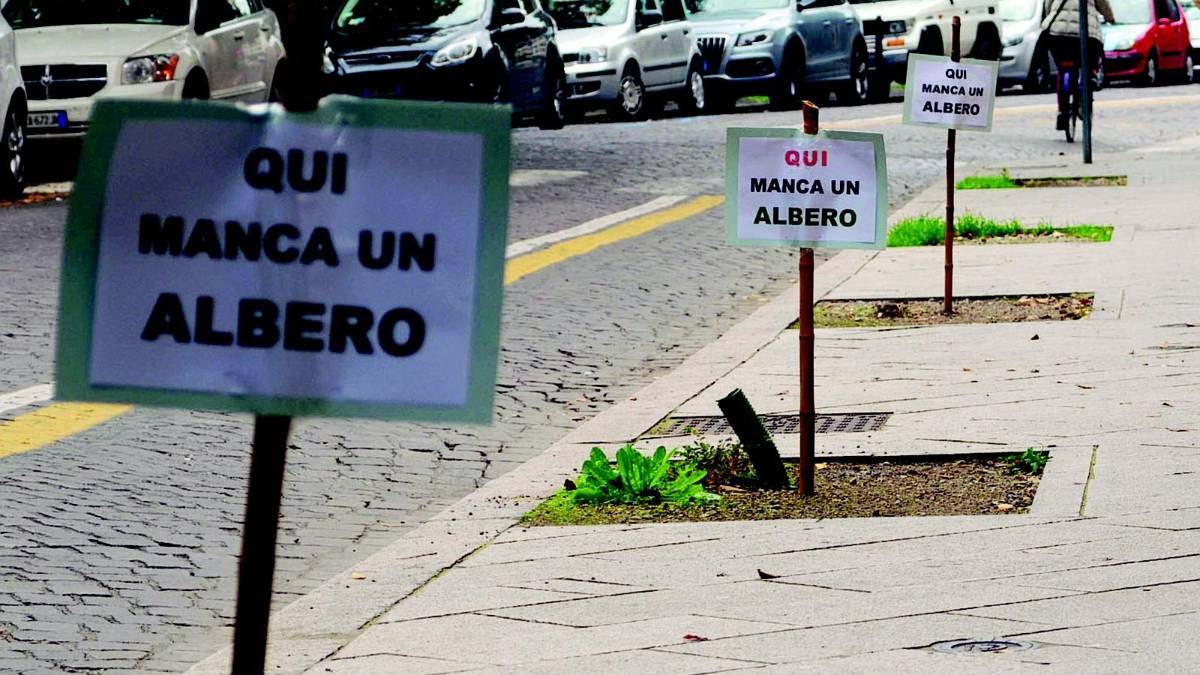 Bagolari salvi, nuove idee per il futuro